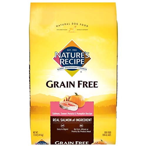 Nature's Recipe Grain Free Dry Dog Food, Salmon, Sweet Potato & Pumpkin Recipe, 12 Pound Bag, Easy to Digest