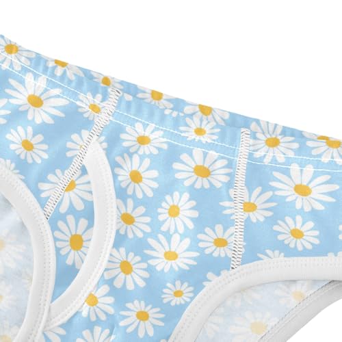 Boys' Exclusive Briefs Toddler Underwear 95% Combed Cotton Boxerbriefs 2T Daisy Pattern 544