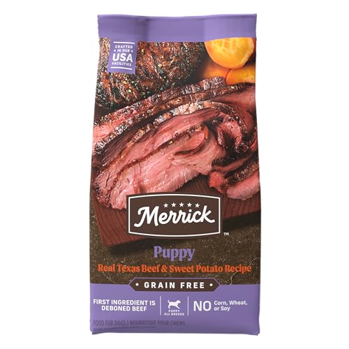 Best Food for Mini Aussie Puppy 10 Premium Options Reviewed! (2024)