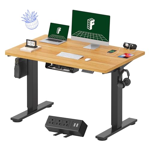 FLEXISPOT EN2 Whole-Piece Standing Desk with Clamp Power Strip, 48 x 30 Electric Stand Up Height Adjustable Desk with Cable Management (Black Frame + 48' Maple Top, 2 Packages)