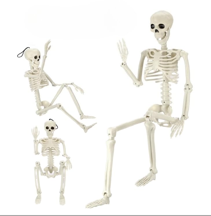 Ayieyill 3pcs Halloween Skeleton Decorations, Posable Skeletons Halloween Decorations Indoor Outdoor