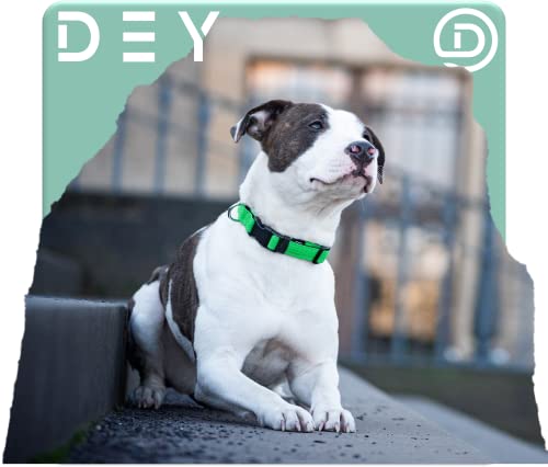 DEY - Premium Hundehalsband Air Mesh | Verstellbar | für Kleine, Mittelgroße u. Große Hunde | viele Farben u. Größen | Halsband Hund Katzen | Hunde-Halsbänder | Welpen-Halsband | Orange, S