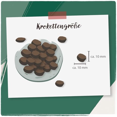 VenandiAnimal - Premium suha hrana za mačke, probno pakiranje 1, 6 x 0,3 kg (pakiranje od 6 komada), bez žitarica s puno svježeg mesa i ribe