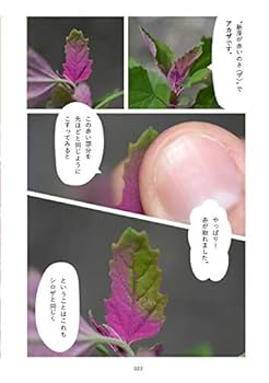 幻の植物を追って 51aHpNselSL._AC_SY200_QL15_.jpg