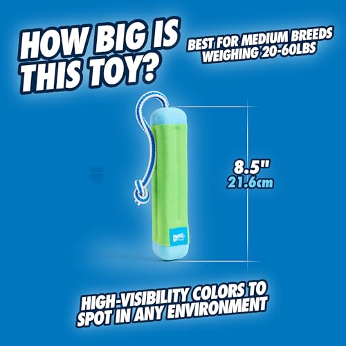 Image of Chuckit! Amphibious Bumper Water Fetch Toy, Knotted Rope Handle for Long Distance Fetch, for Small Dogs & Puppies | For Waterplay, for Dogs Up to 60 lbs, 1.62 In L x 8.5 In H x 3.5 In W, Assorted