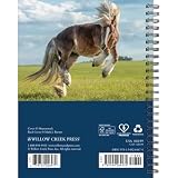 Willow Creek Press, What Horses Teach Us 2027 planer zaręczynowy 16,5 x 21,5 cm