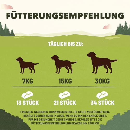 Adventuros Training Hundeleckerlis, reich an Lachs, 6er Pack (6 x 115g)