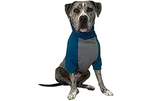 Tooth & Honey Large Dog Sweater/Pitbull/L/M/XL Dog Sweatshirt (Teal & Grey)