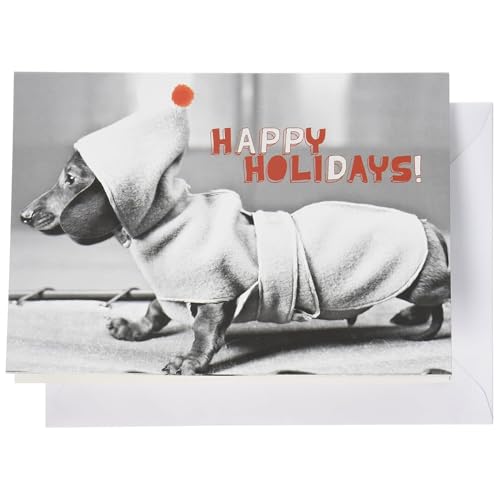 Nouvelles Images Holiday Boxed Note Card Set, Dachshund in Coat (XDB 381)