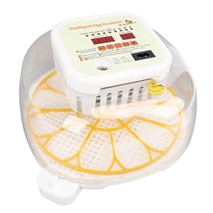 Zjchao LED Display Ei Inkubator Automatische Drehung