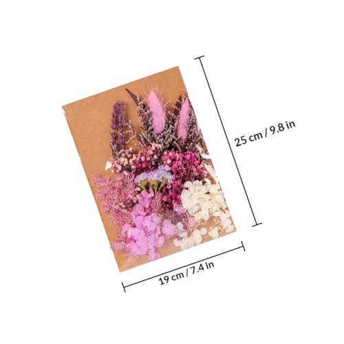 Paquete de Flores Secas Naturales para Manualidades miniatura 2
