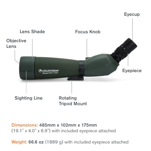 Celestron 52305 Regal M2 80ED: catalejo