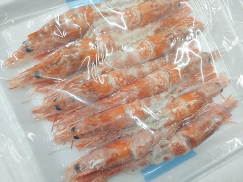 LԂђJ 10×2pbN ԃGr ԊCV  AJGr  Gr CV ԂъJ hg i yYt[Yz