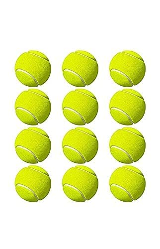 SNC Tennis Balls, Training Balls for Lessons, Practice, Playing with Pets (Pack of 12) (B0CDV2Y6FG) Amazon Price History, Amazon Price Tracker