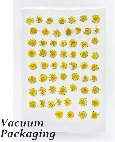 Flores Secas Prensadas Blancas para Manualidades 60 Piezas miniatura 3