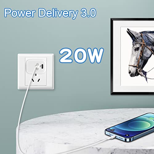 20W Caricatore USB C da Muro,Cshare PD QC 4.0 Power Delivery 3.0 Adattatore di Ricarica Compatibile con iPhone 13 Pro/12/12 Pro/12 Mini/11 Pro/XS Max/XR/X,iPad Pro/Air,Galaxy S20/S10,Google Pixel 6.