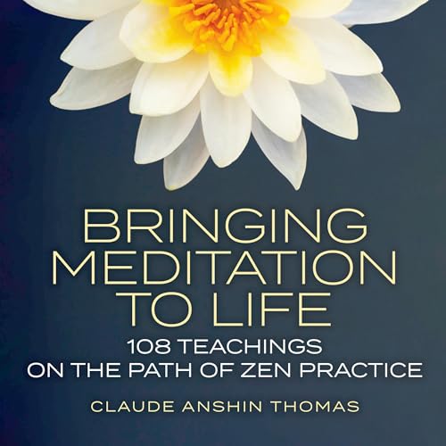 Bringing Meditation to Life by Claude Anshin Thomas episode artwork