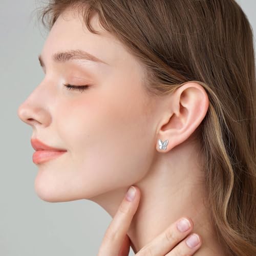 Red Cardinal/Blue Jay Bluebird Stud Earrings 925 Sterling Silver "Our Love Never Dies" Jewelry Gifts for Women Mom4