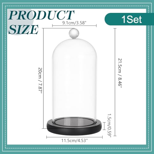 Cloche en verre transparent cadeau idéal pour fleurs éternelles - 3