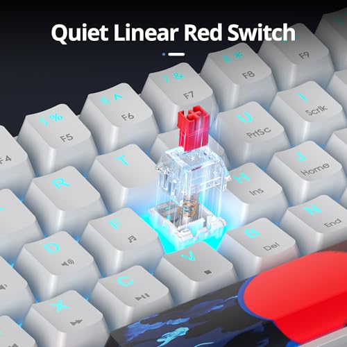 Image of 60 Percent Gaming Keyboard 61 Keys Wired Mechanical Keyboard Ultra Compact Key Board Red Switch LED Backlit for Windows Laptop Gamer(61Hongbai)