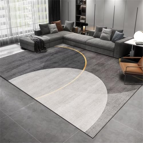 Tapis minimaliste moderne doux et lavable pour grands espaces