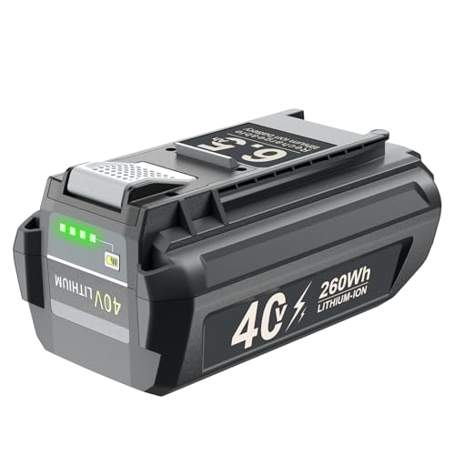 ZKpilse 6.5Ah 40V Battery - Best Lightweight Option