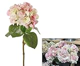 kunstpflanzen-discount.com