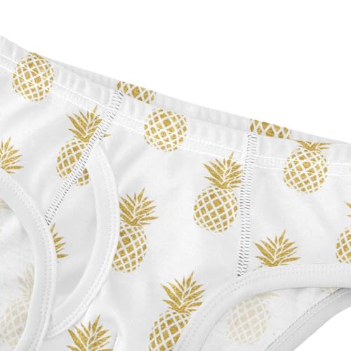Boys' Exclusive Briefs Toddler Underwear 95% Combed Cotton Boxerbriefs 2T Pineapple Pattern 1004