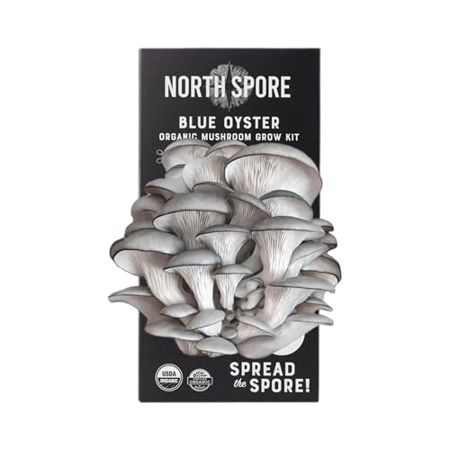 North-Spore-Organic-Blue-Oyster-Mushroom-Spray-Grow-Kit-4-lb-Beginner-Friendly-Easy-to-Use-USDA-Certified-Organic-Non-GMO-Handmade-in-Maine-USA