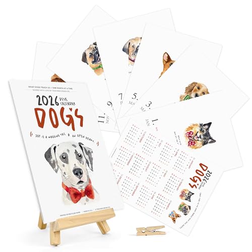 2026NJ_[ -   }X[J_[ `x[V̈pt č 5x7y[W C[[t z[ItBXXN[p zf[VÑMtg (2026  ~jC[[)