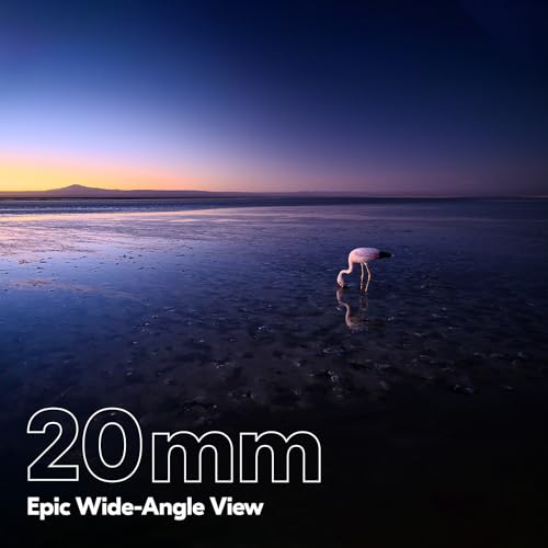 The 17 Best Nikon Landscape Lenses (in 2023)