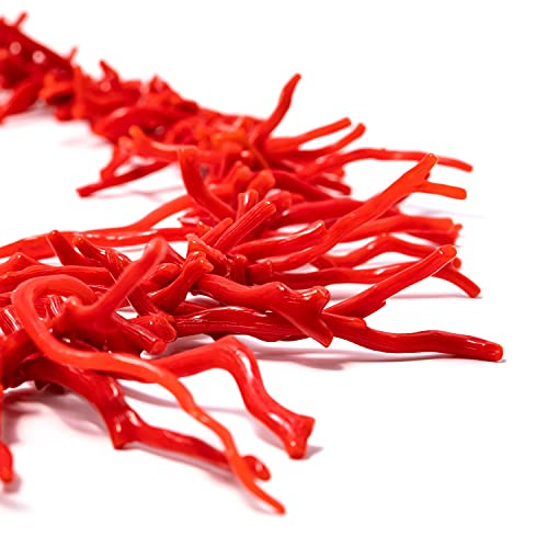 Collana corallo del Mediterraneo (Corallo Sardo)