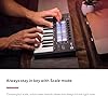 Novation FLkey Mini - Portable 25-Key, USB, MIDI Keyboard Controller with FL Studio Integration for Music Production #5