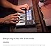 Novation FLkey Mini - Portable 25-Key, USB, MIDI Keyboard Controller with FL Studio Integration for Music Production