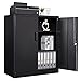 Letaya Metal Storage Cabinets with Lock, Small Locker Steel Cabinets, Adjustable Shelves 2 Doors for Home,Office, Warehouse,Garage(Black-36)