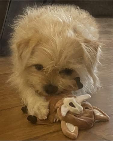 ブタとイノシシのクリンクルスクイーカーペットトイ2パック-犬、豚、その他の小型ペット用