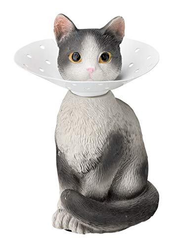 �Z�g�N���t�g �s�A�X�z���_�[ �n�`���� ����:��9(cm) SR-5605