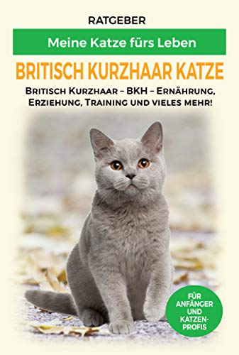 Britisch Kurzhaar Katze: Britisch Kurzhaar Katze Ratgeber - BKH Katze - Erziehung, Ernährung und Pflege (Katzenrassen)