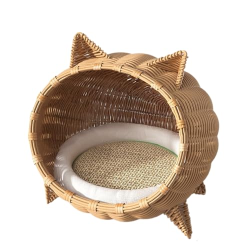 MuadressiAhXj ybgxbh ybgnEX Lxbh LnEX L PE҂  L ʋC v gݗĕsp  _炩}[g  Ng܂  CՒf L 킢  (ٕ҂ݔLxbh+_炩