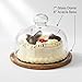 QWORK Glass Dome Cloche with Acacia Wood Tray – 7