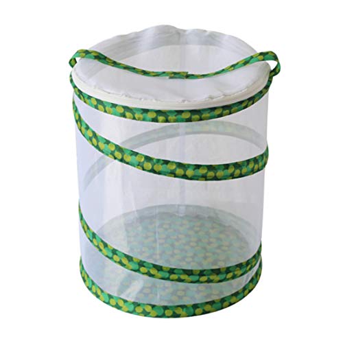 BOROK Pop-Up Butterflies Breeding Insect Breeding Butterfly Garden Butterfly Farm Insect Net Butterfly Net Breeding Aviary Learning Toy