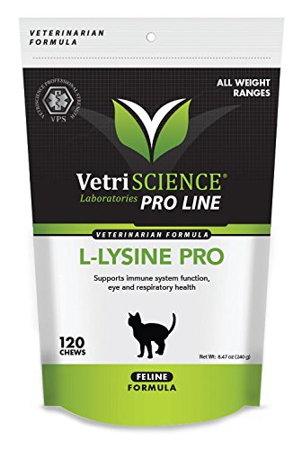 VetriScience L-Lysine Pro for Cats - Immune System Support for Felines - 120 Small Soft Chews