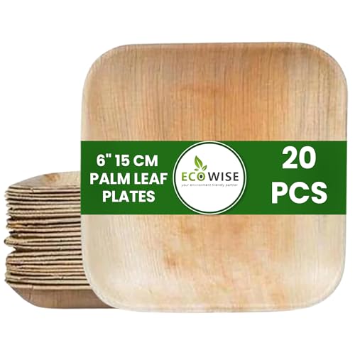 EcoWise 20 Palm Leaf Plates 6 Inch Square Eco-Friendly Biodegradable Compostable Bamboo Plates- Disposable Plates for Parties Picnic Perfect for Hot and Cold Food