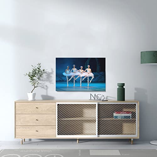 Affiche Danse Classique 60x40 cm pour Habiller un Mur Blanc sans Effort - 3