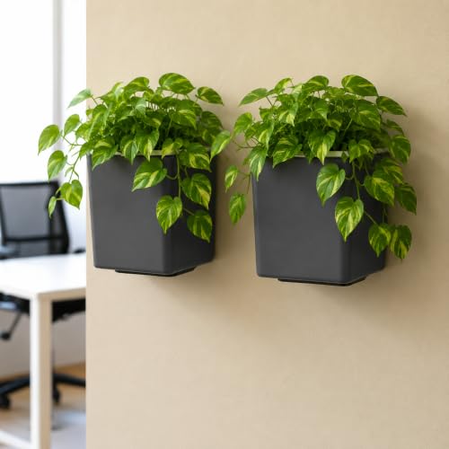 Image of Indian Discovery Self Watering Wall Hanging Planter|Hanging /Hooked Flower Pots for Home, Balcony, Vertical Garden Decor Flower Pots(2 PC, Grey, Square) |6 Inch UV-Resistant Plastic Plant Pots