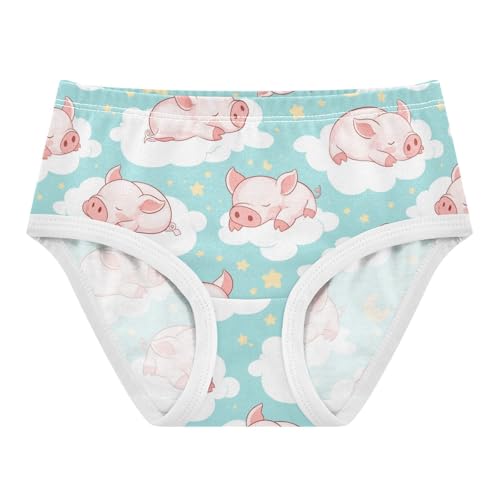 Wusikd Pink Piglets Sleeping Girls' Underwear Cotton Clouds Stars Girls Briefs Soft Toddler Underwear 2T
