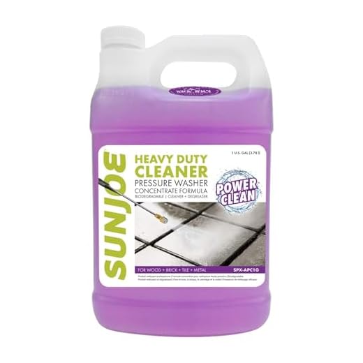 Eco-Friendly All-Purpose Pressure Cleaner