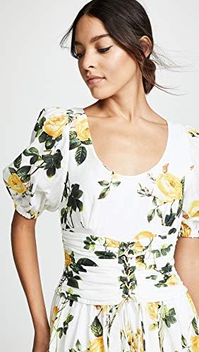 steele sofia bustier dress