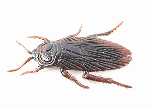 SFamily 1 Pack of 15 Fake Roaches Prank Novelty Kids Toy Cockroach