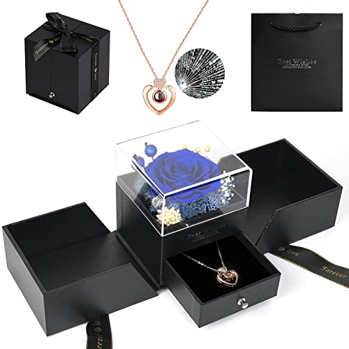 WOMLEX vU[uht[ lbNX v[g ͂Ȃ av[g  lC ޏ   蕨 Ƃ o^C LO j zj ̓ hV̓ v[g NX}X w  bZ[WJ[ht (